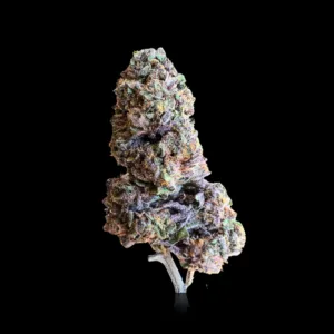 Sherbanger THCA Flower 3.5g - Yaga Farms