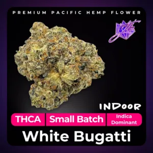 White Bugatti THCA Flower PL