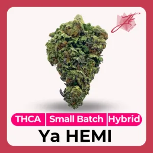 Ya Hemi Strain THCA
