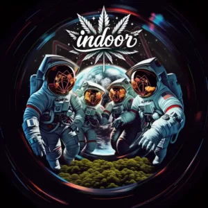 THCA Premium Indoor Strain 4 QP Split Sampler Pack (1 Pound)