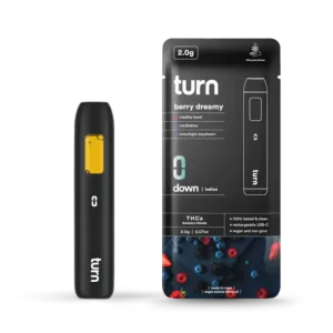 Turnpen All in One - 2g Disposable Vape
